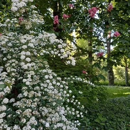 Wieniawska Park Side Saxon Garden -ogrod Saski- 86m2 Old Town 10min Apartment *