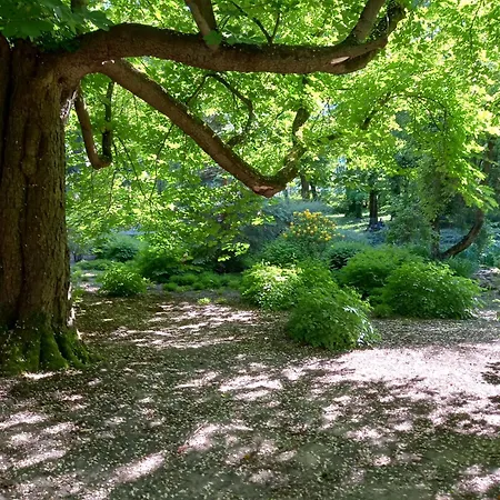 Wieniawska Park Side Saxon Garden -ogrod Saski- 86m2 Old Town 10min * Lublin
