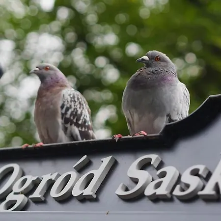 Wieniawska Park Side Saxon Garden -ogrod Saski- 86m2 Old Town 10min *